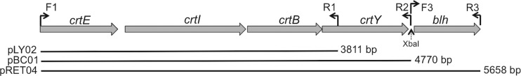 FIG 1