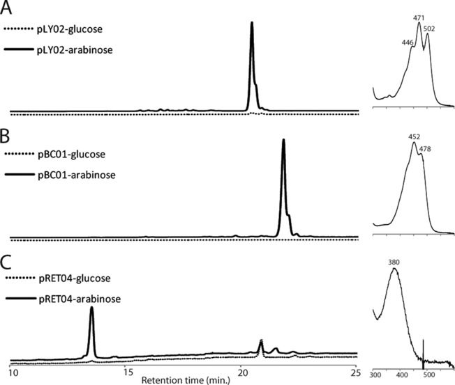 FIG 2