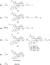 Scheme 4