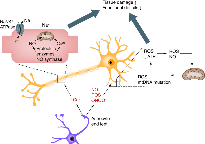 Figure 4. 