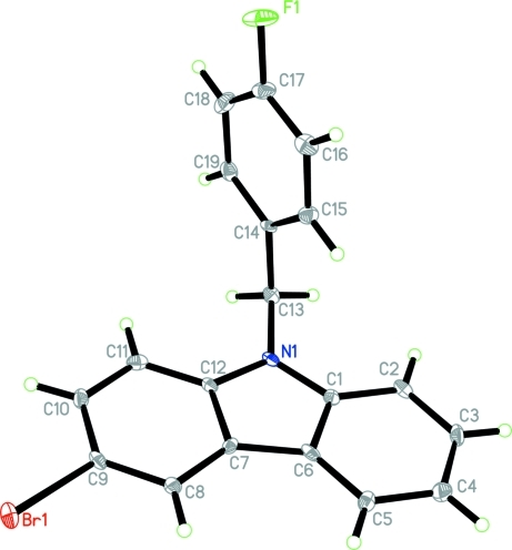Fig. 1.