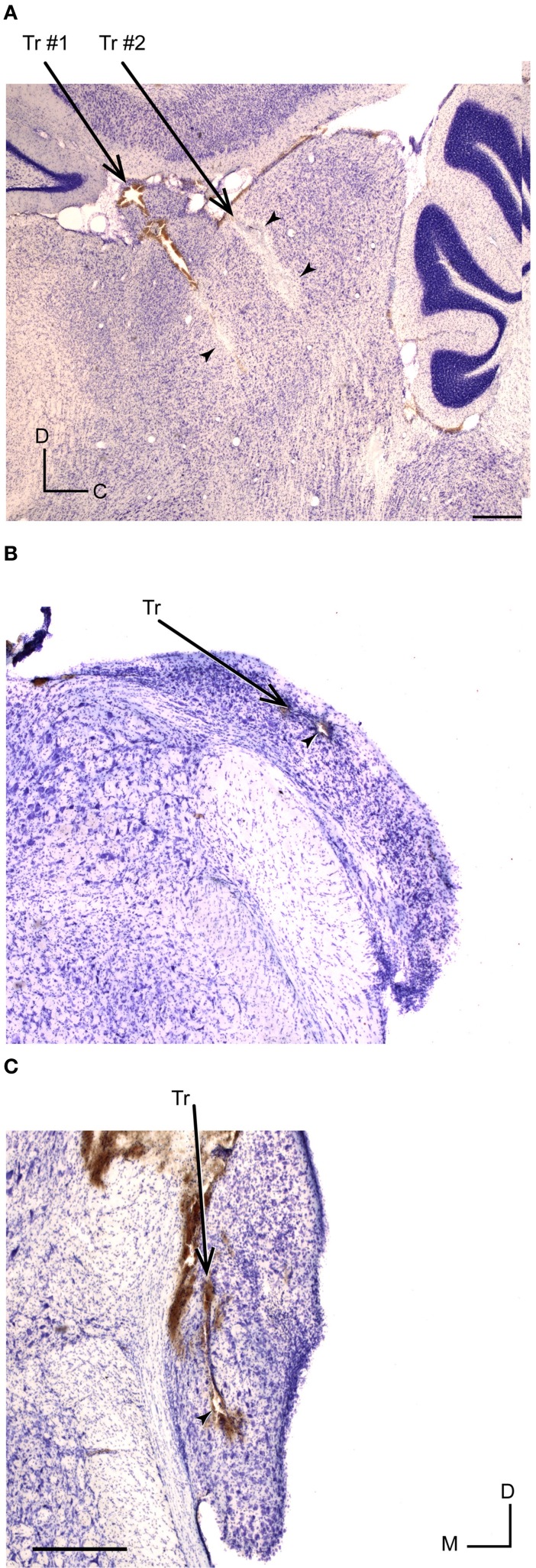 Figure 10