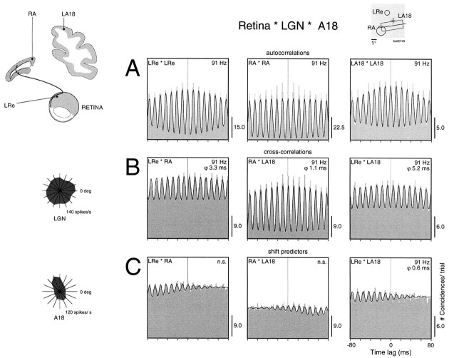 Fig. 9.