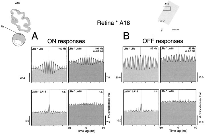 Fig. 10.