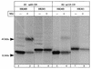 FIG. 8