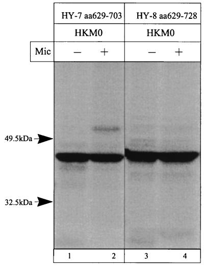 FIG. 12