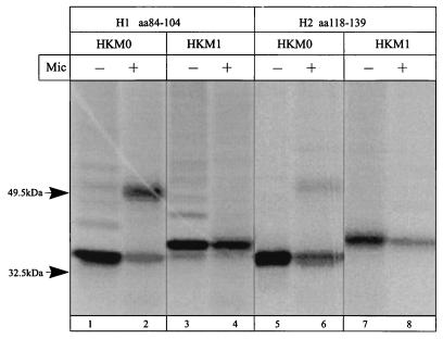 FIG. 8