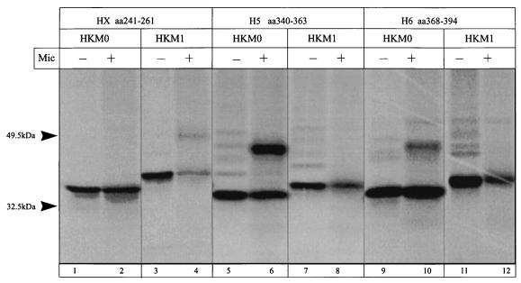 FIG. 10