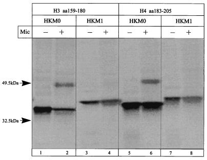 FIG. 9