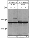 FIG. 12