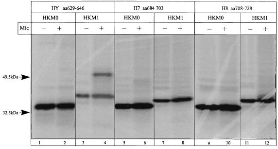 FIG. 11