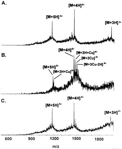 FIG. 6