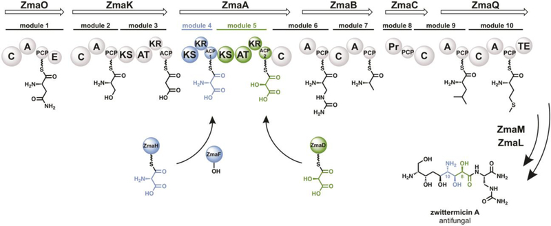 Figure 1.