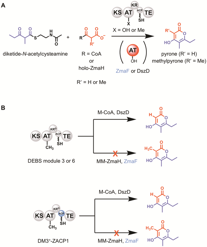 Figure 7.