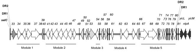 FIG. 1.