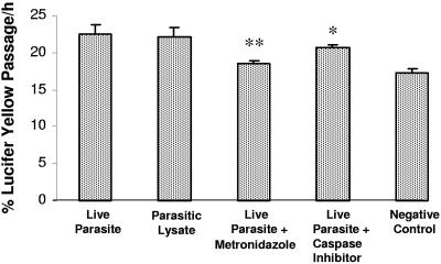 FIG. 8.