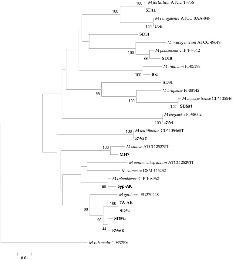 Figure 1