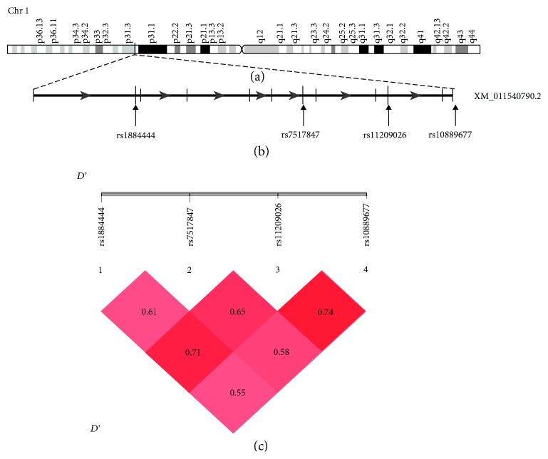 Figure 1