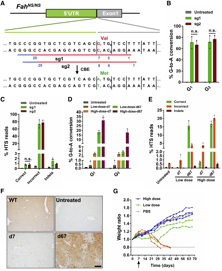 Figure 2