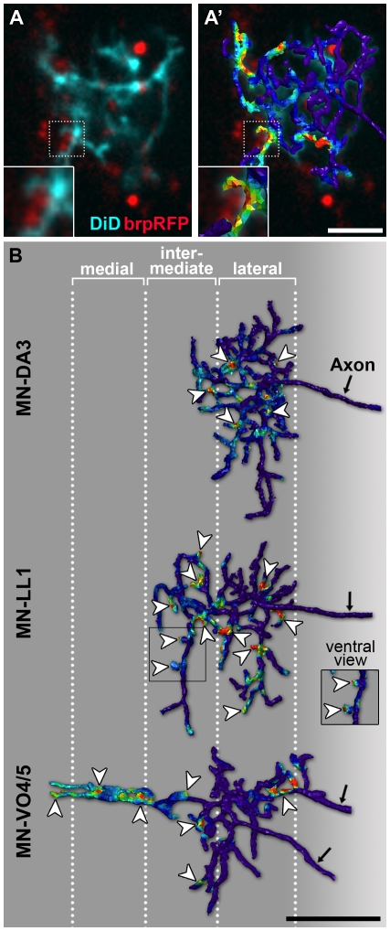 Figure 10