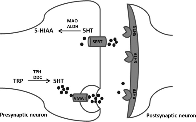 Fig. 1