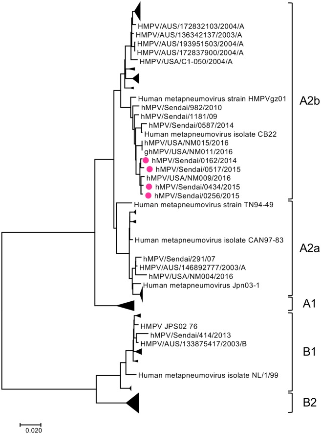 Fig 2