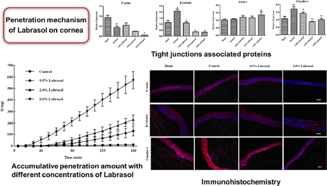 Image, graphical abstract