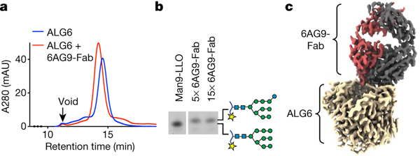 Fig. 2 |