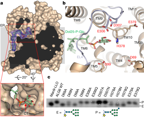 Fig. 4 |