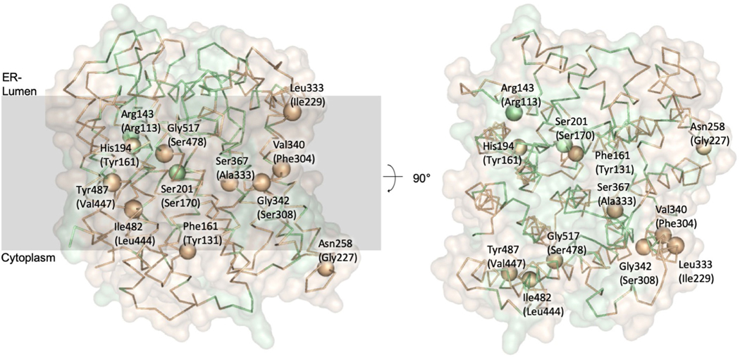 Extended Data Fig. 6 |