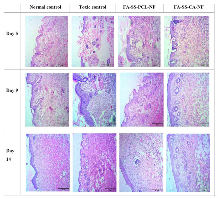 Figure 16