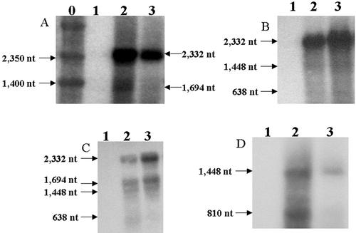 Figure 4.