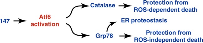 Fig. 9