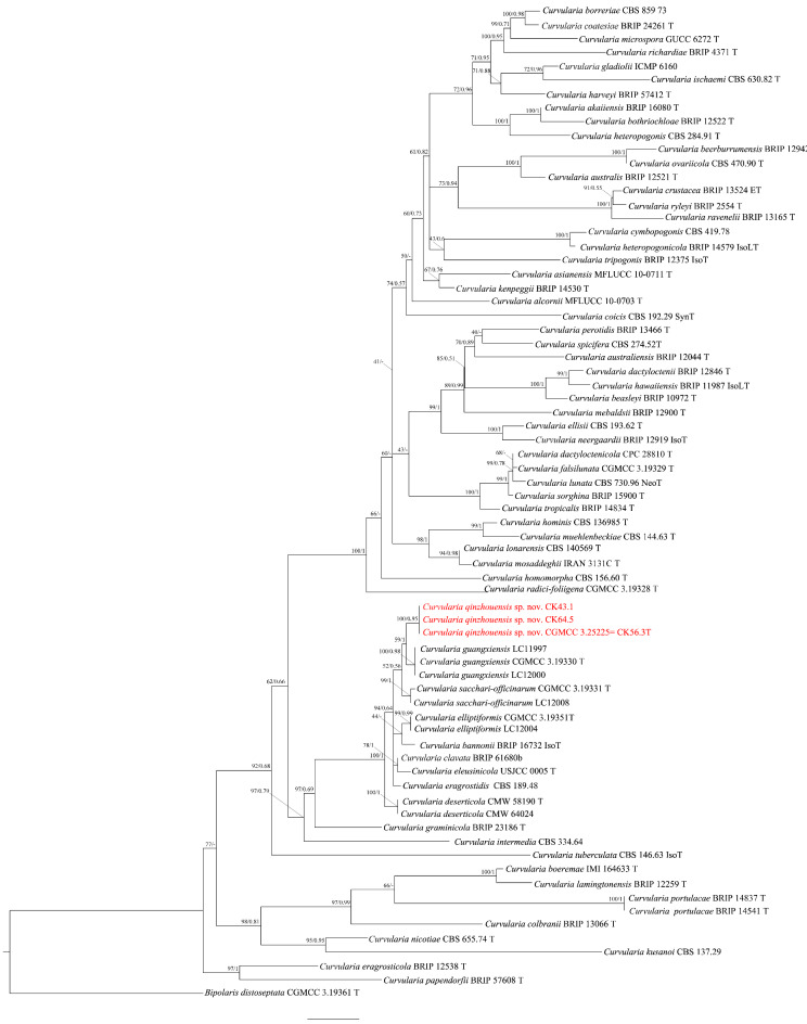 Fig. 2
