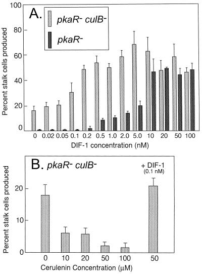 FIG. 8.