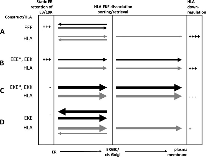 Fig 10