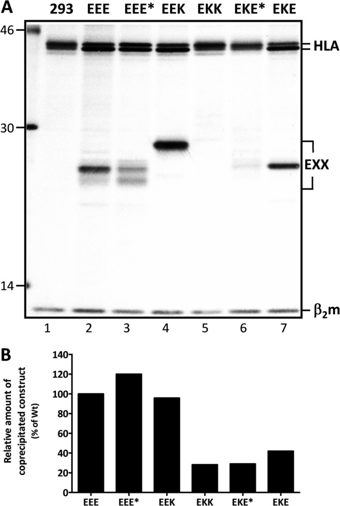 Fig 5