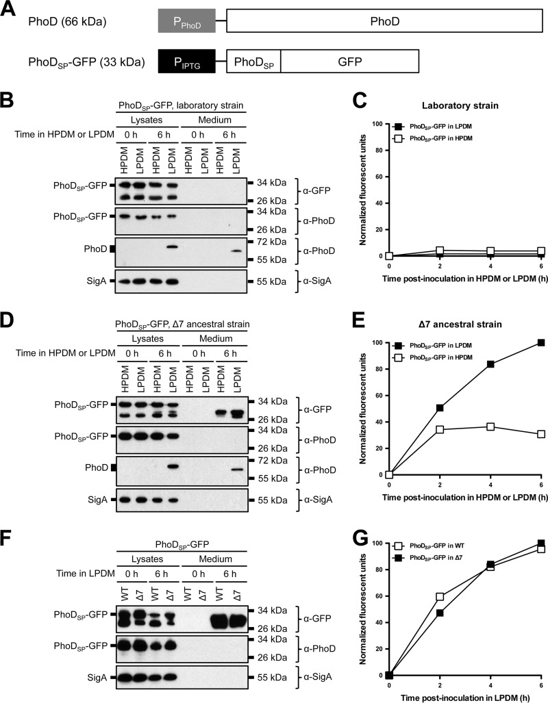 FIG 2