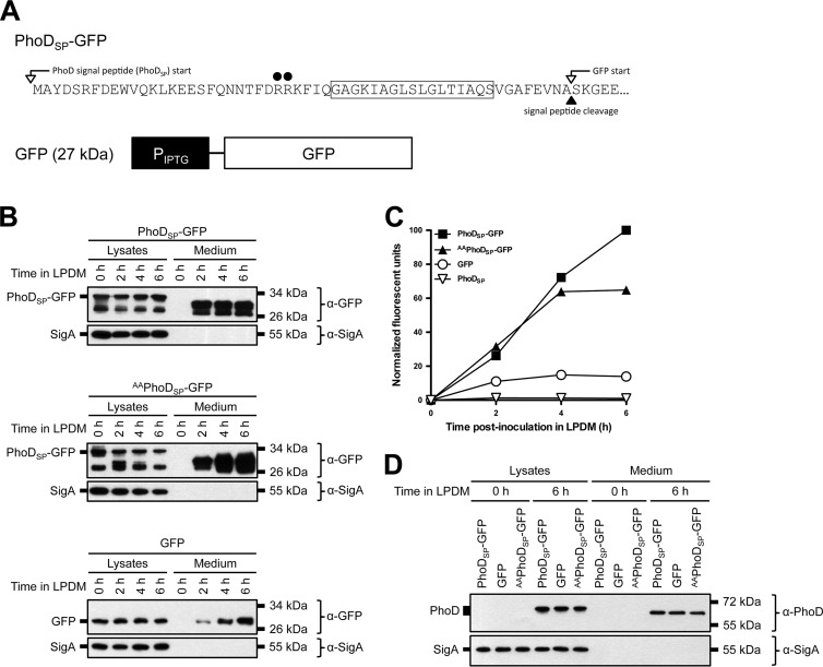 FIG 8