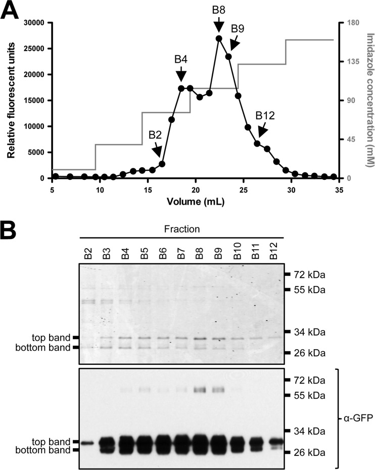 FIG 3