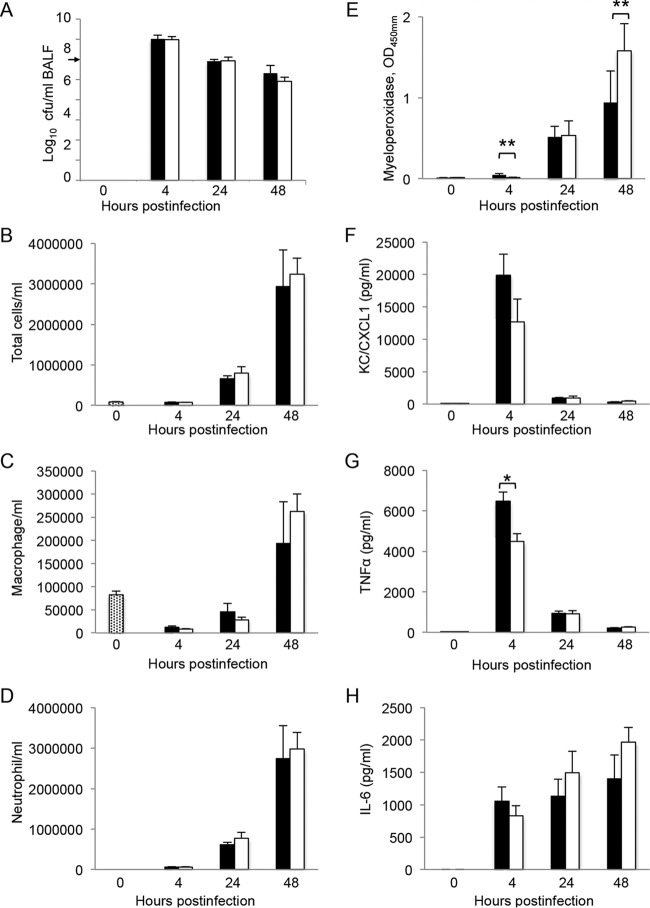 FIG 4 