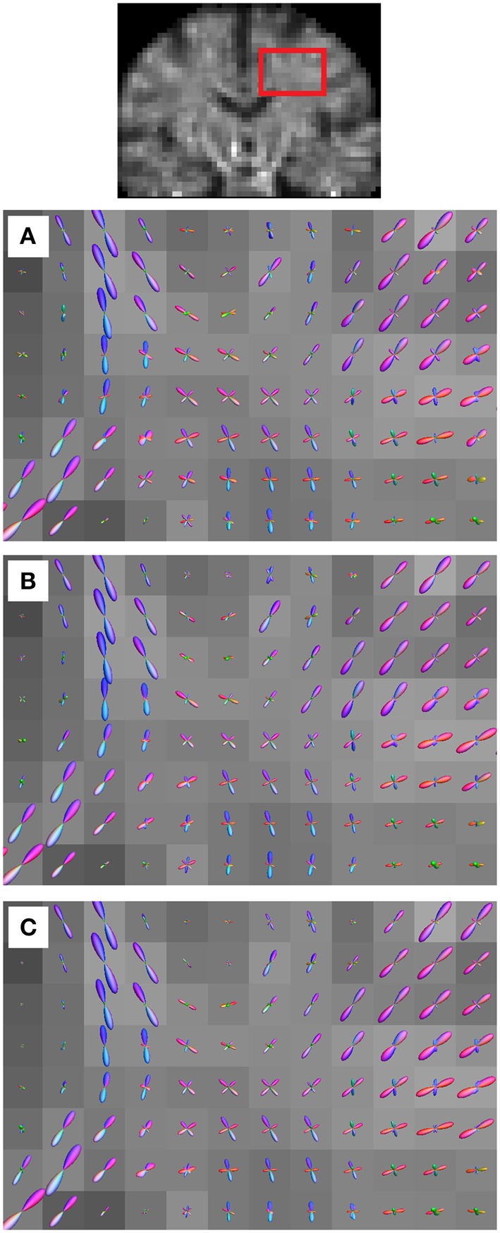 Figure 5