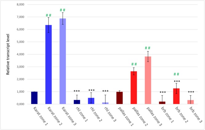 FIGURE 7