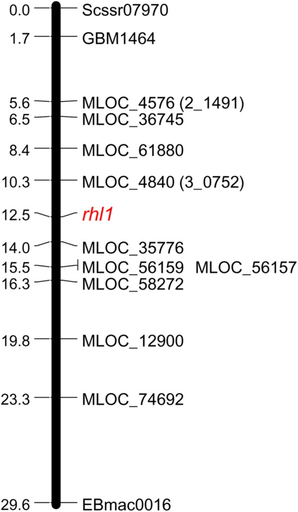 FIGURE 1