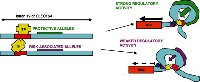 Figure 4.