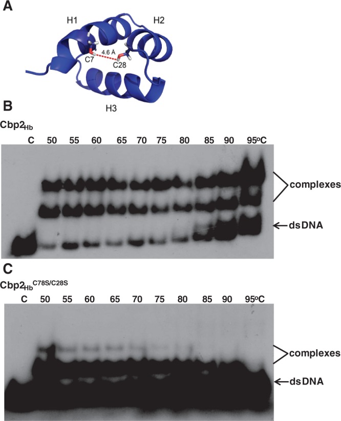 Figure 7.