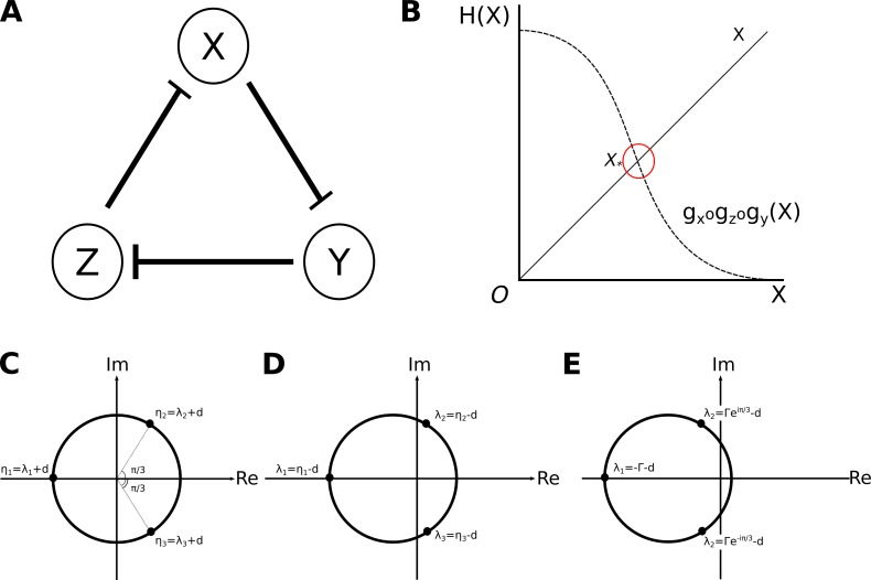 Appendix 1—figure 1.