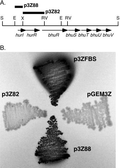 FIG. 4