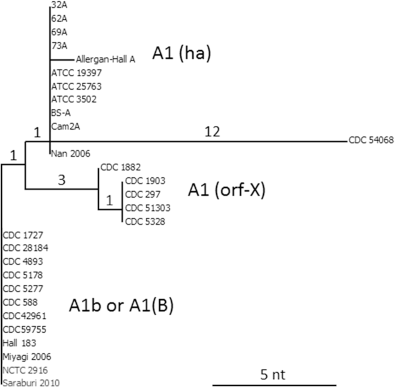 Fig. 5