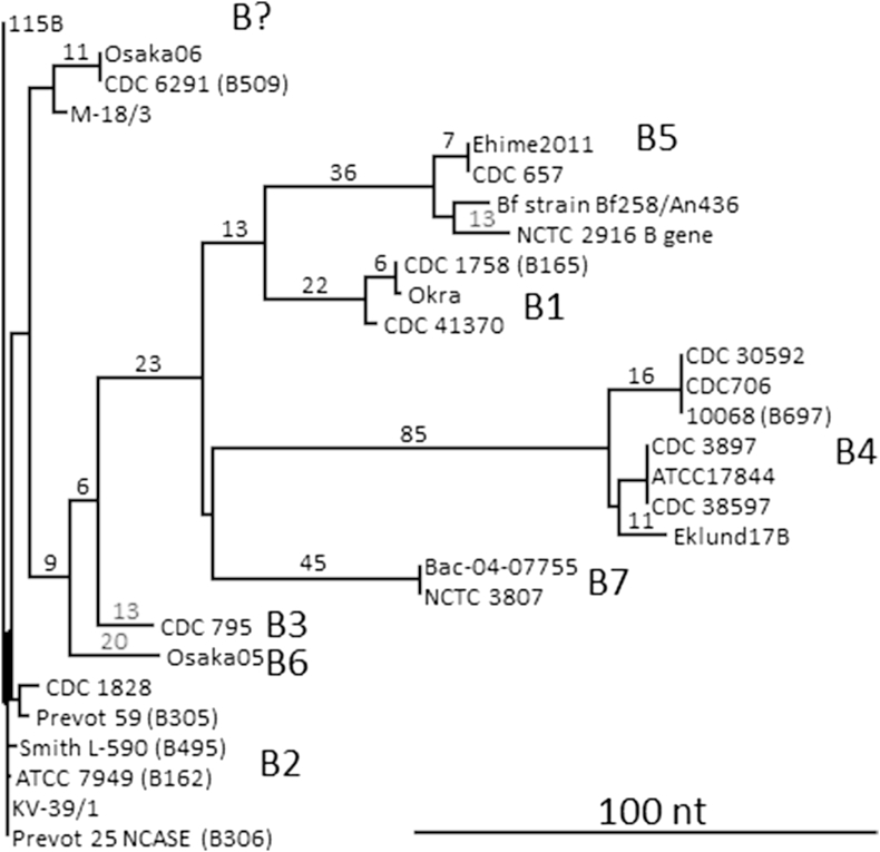 Fig. 6